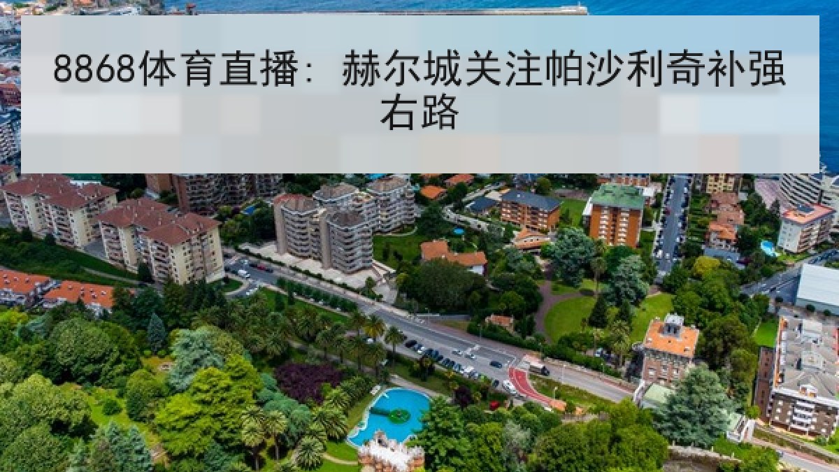 8868体育直播: 赫尔城关注帕沙利奇补强右路 8868体育直播: 赫尔城关注帕沙利奇补强右路