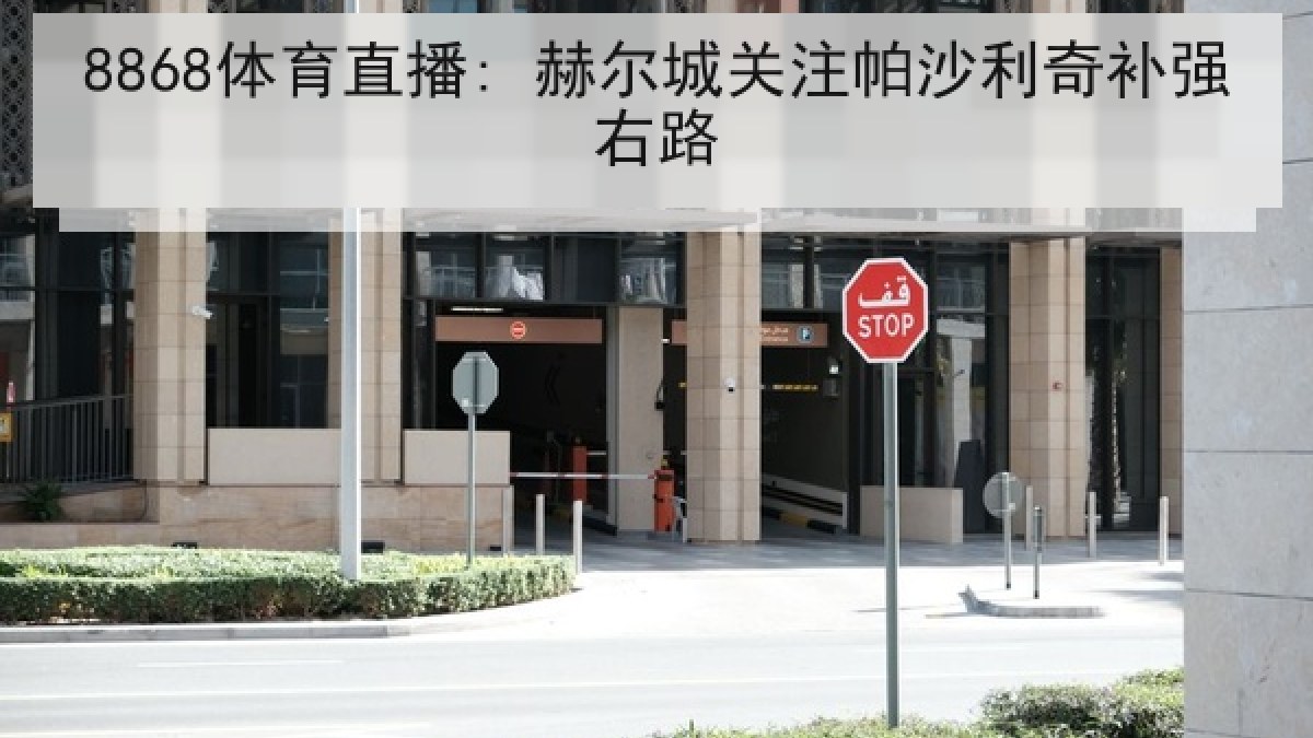 8868体育直播: 赫尔城关注帕沙利奇补强右路 8868体育直播: 赫尔城关注帕沙利奇补强右路