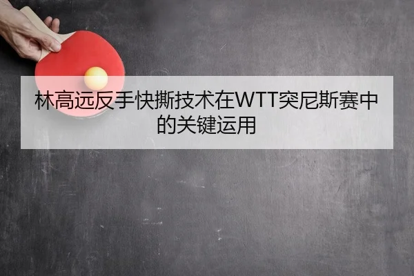 林高远反手快撕技术在WTT突尼斯赛中的关键运用