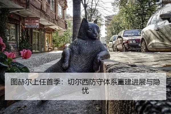 tu-he-er-shang-ren-shou-ji-qie-er-xi-fang-shou-ti-xi-chong-jian-jin-zhan-yu-yin-you-2-663.jpg